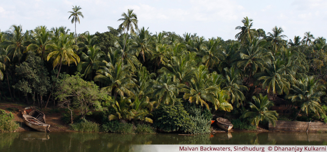 Malvan Backwaters, Sindhudurg - Dhananjay Kulkarni